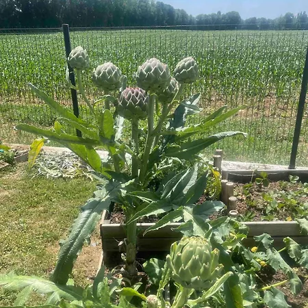 Nathan, Fun And Calm Rochefort Villa