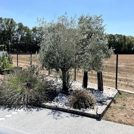 Nathan, Fun And Calm Rochefort *