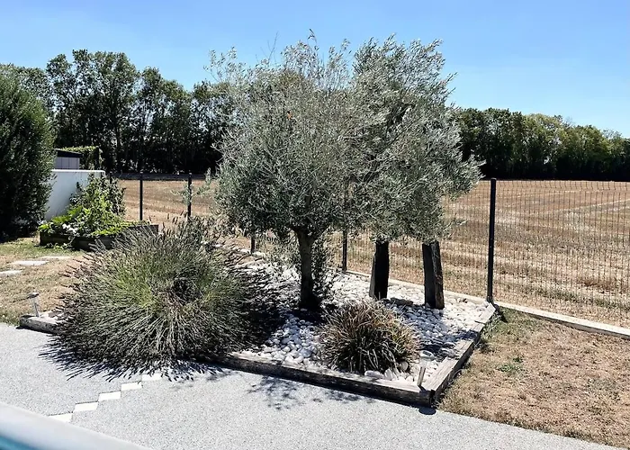 Nathan, Fun And Calm Rochefort *